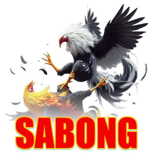 Sabong